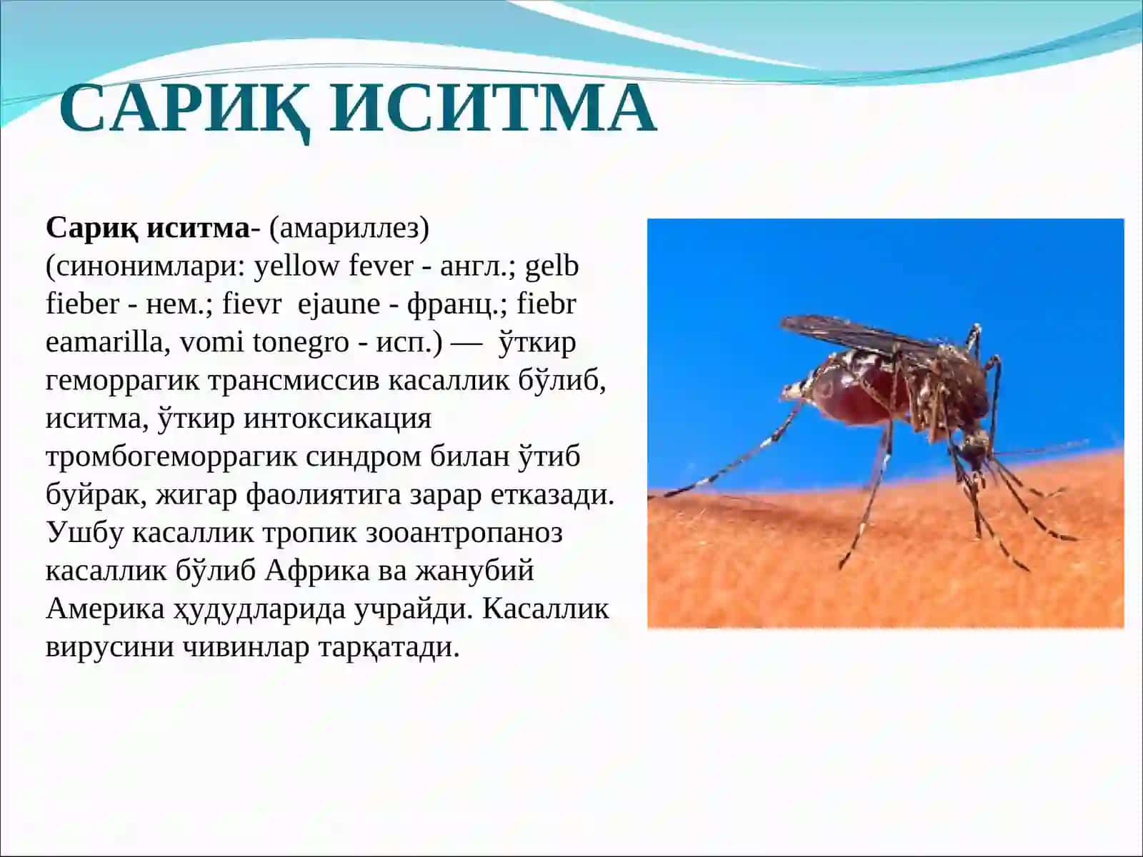 САРИҚ ИСИТМА 2