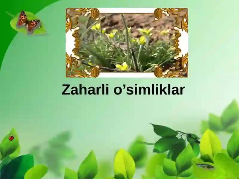 zaharli organizmlar 2