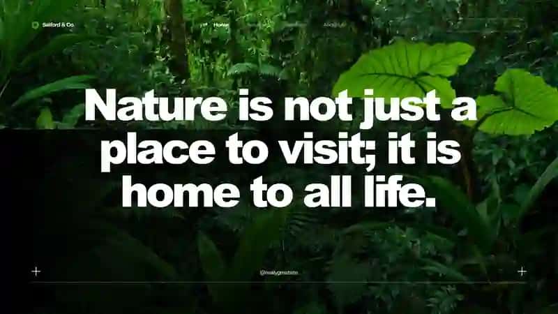 prezentatsiya taqdimot tabiat prezentation nature 2