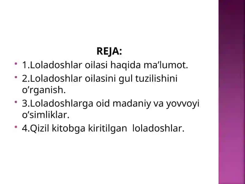 Loladoshlar oilasi 2