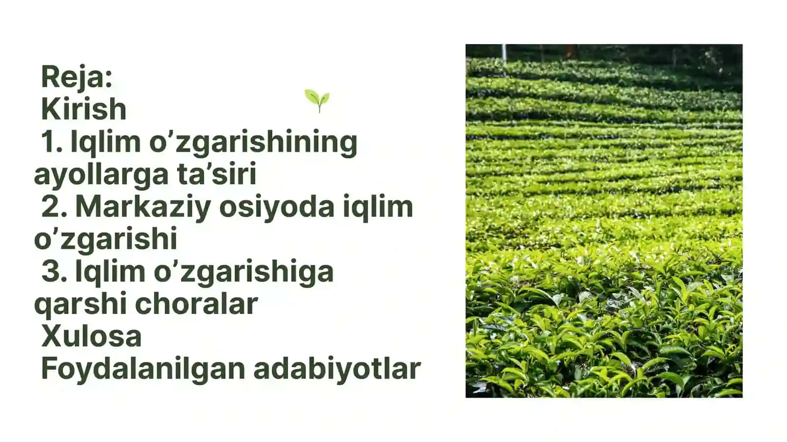 Iqlim o'zgarishi va uning oqibatlari 2
