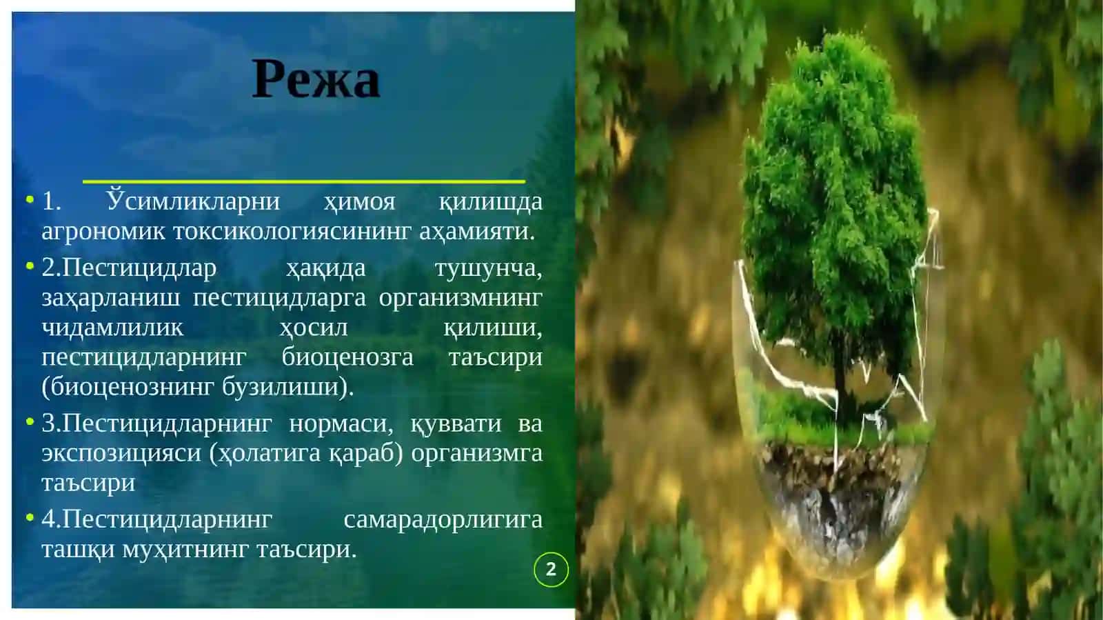 АГРОНОМИК ТОКСИКОЛОГИЯ АСОСЛАРИ 2