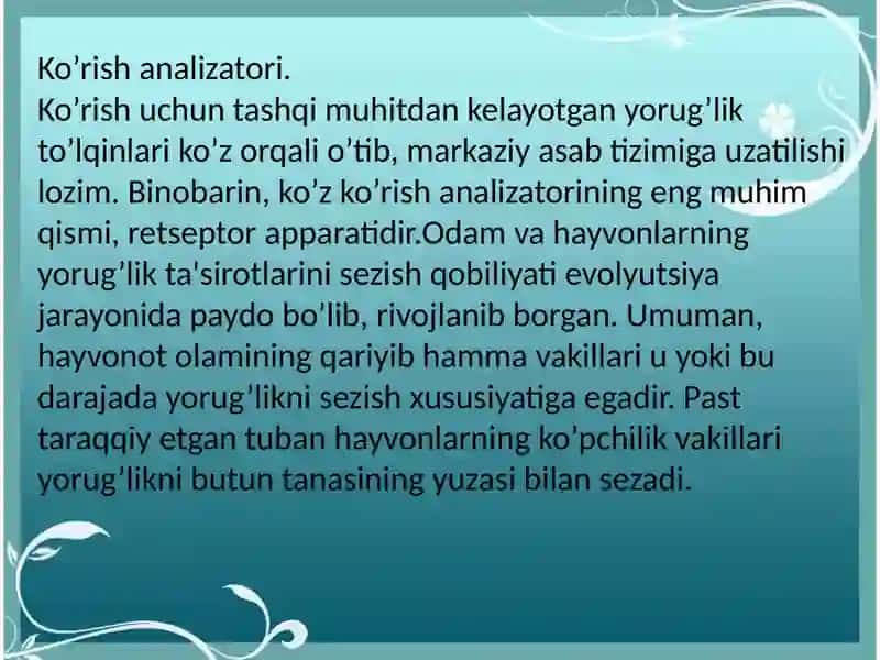 Ko'rish analizatori 2
