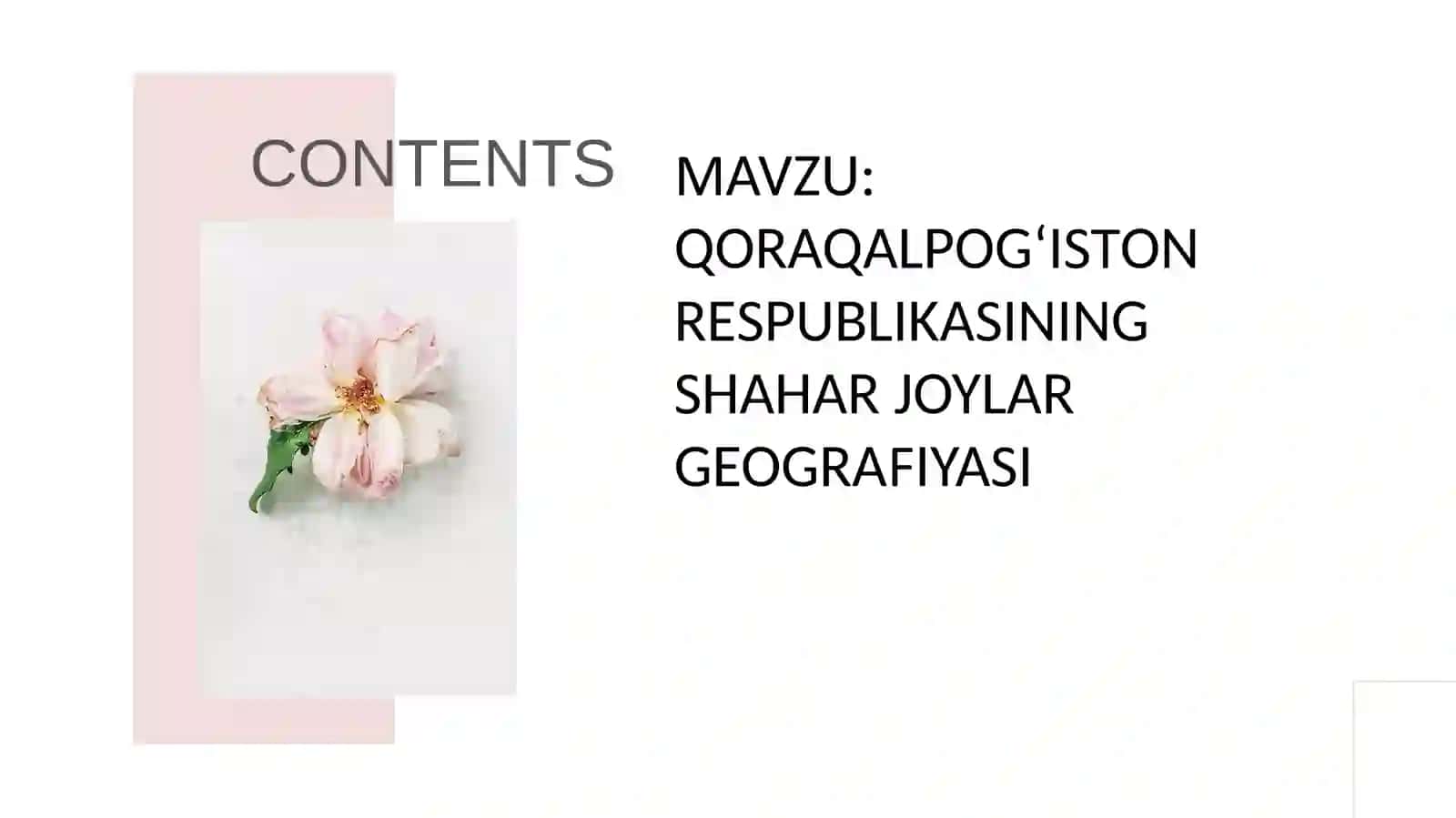 QORAQALPOGʻISTON RESPUBLIKASINING SHAHR JOYLAR GEOGRAFIYASI 2