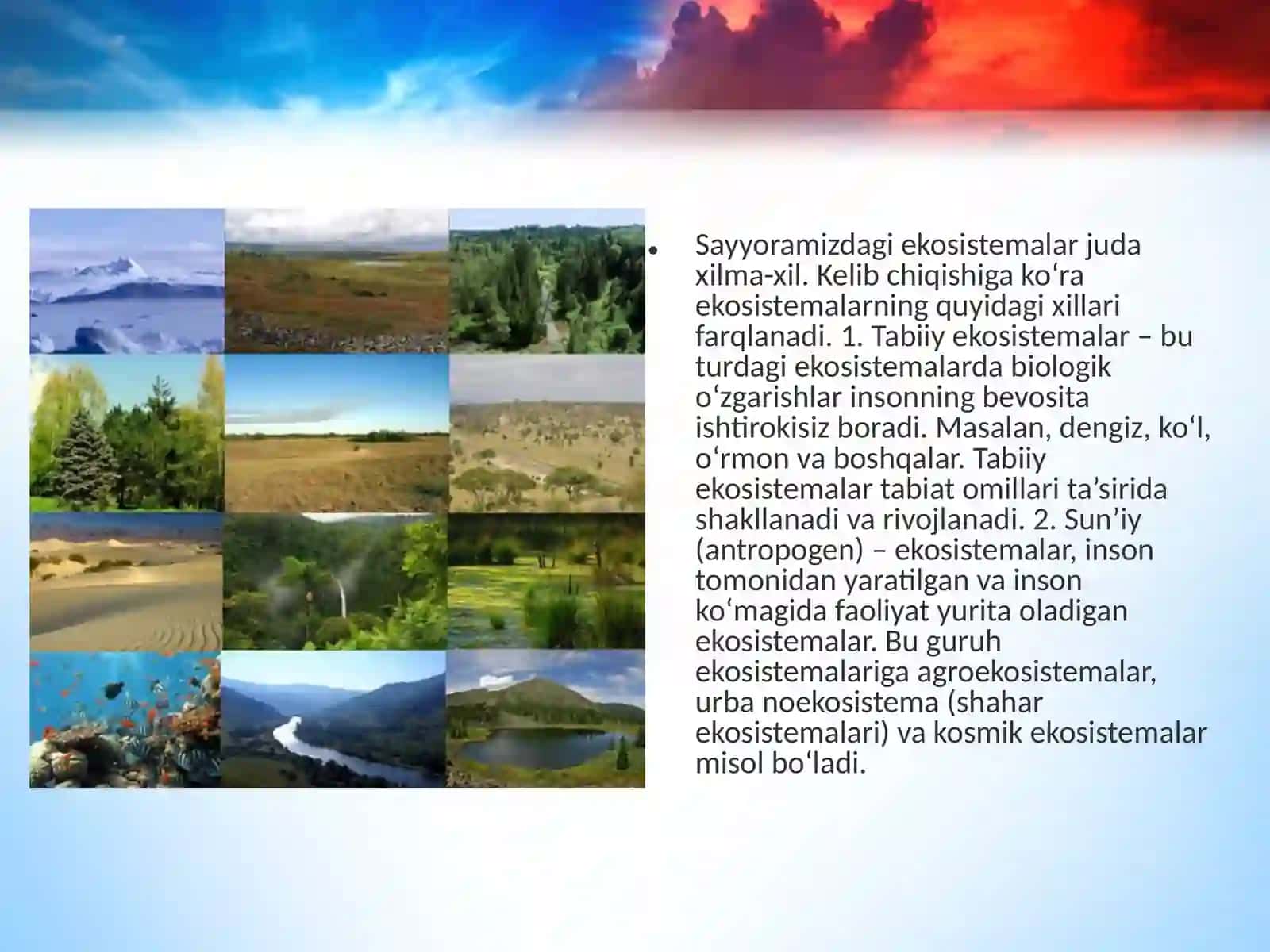 Ekosistemalar 2