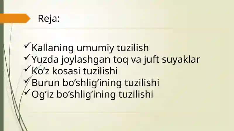Kallaning Yuz qismidagi suyaklarning tuzilishi 2
