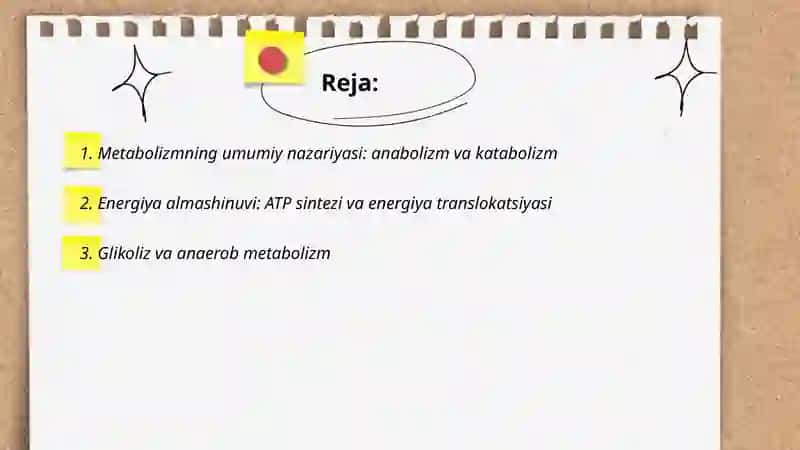 Moddalar va energiya almashinuvini o'rganish 2