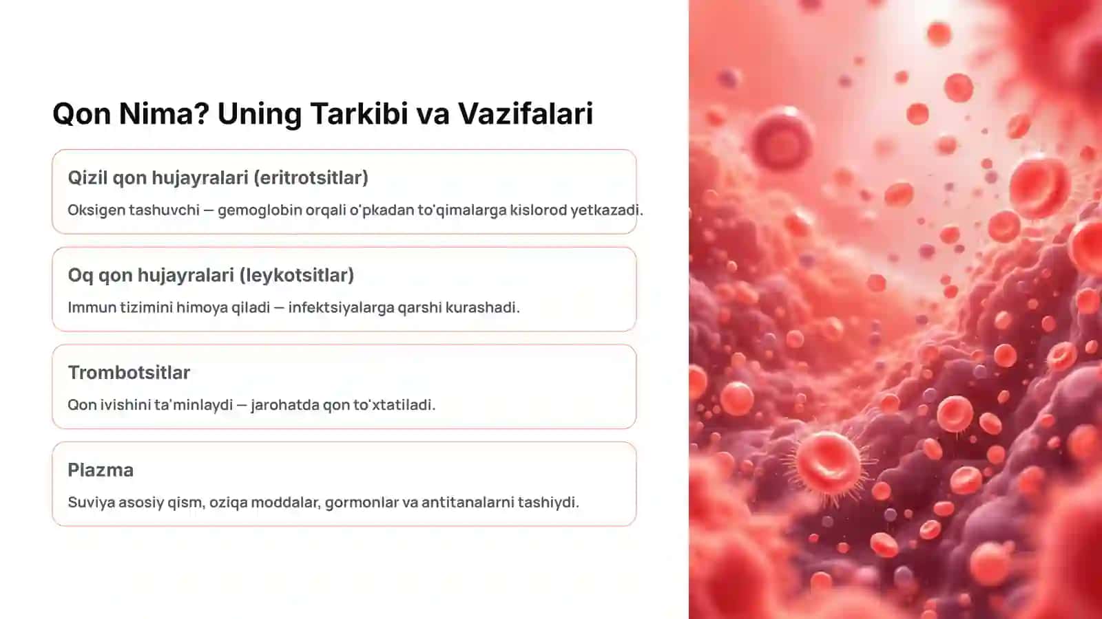 Qon, Qon Guruhlari va Rezus Faktor Asosiy Tushunchalar 2