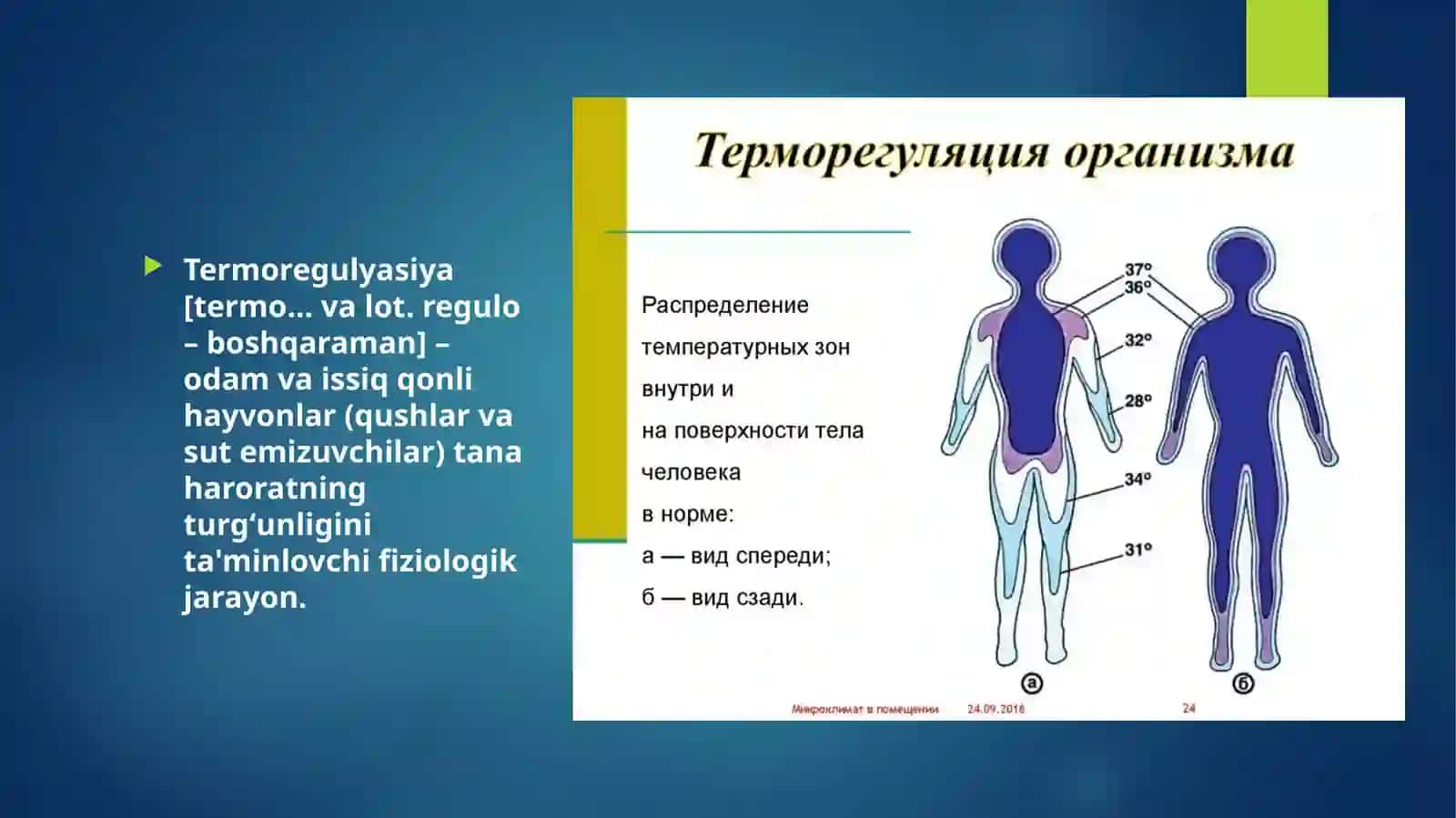 Termoregulyatsiya 2