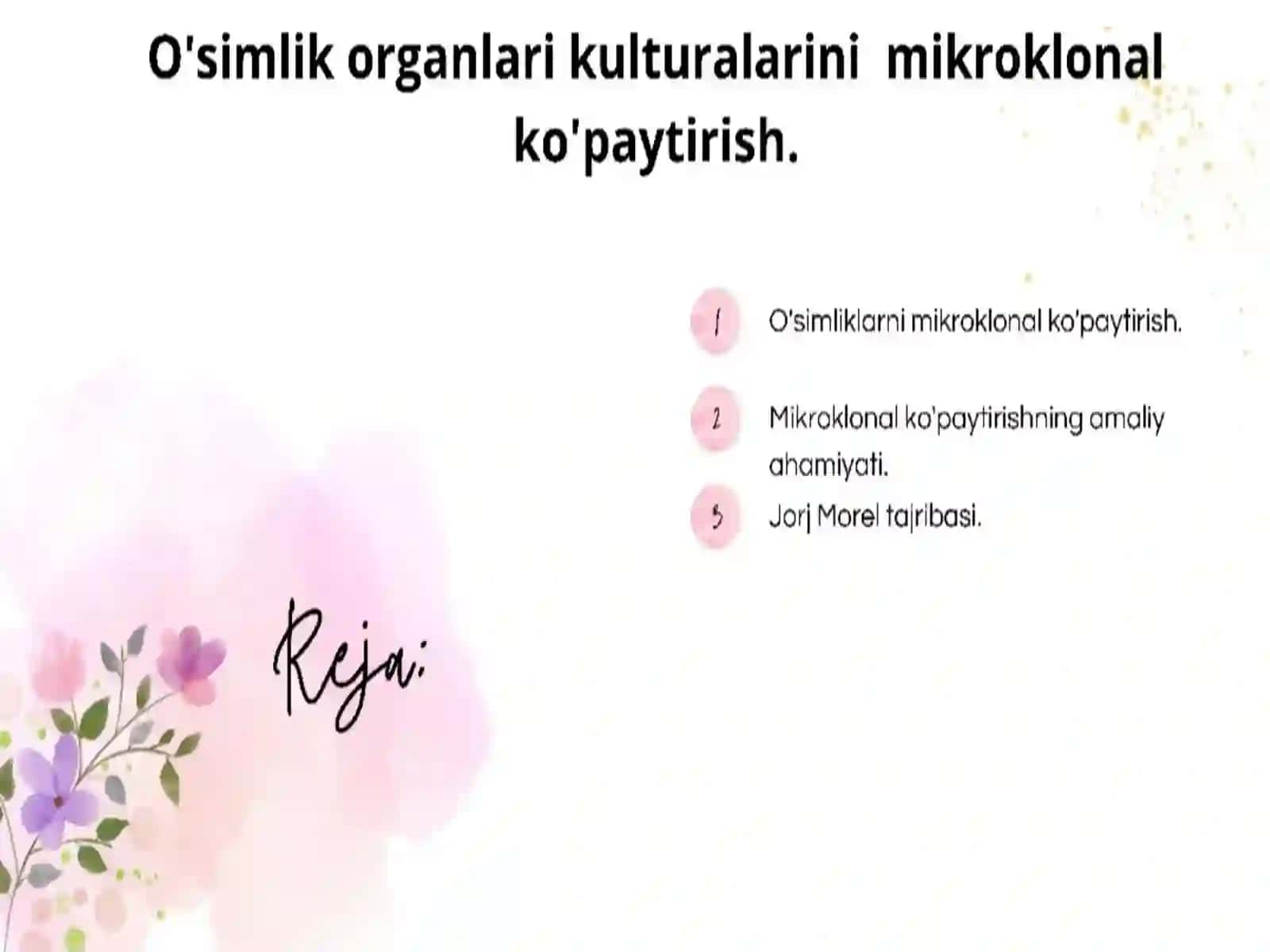 Mikroklonal ko‘paytirish 2