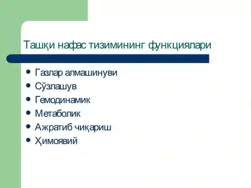 Ташқи нафастизими патофизиологияси 2