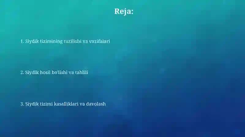 Siydik ayirish sistemasi 2