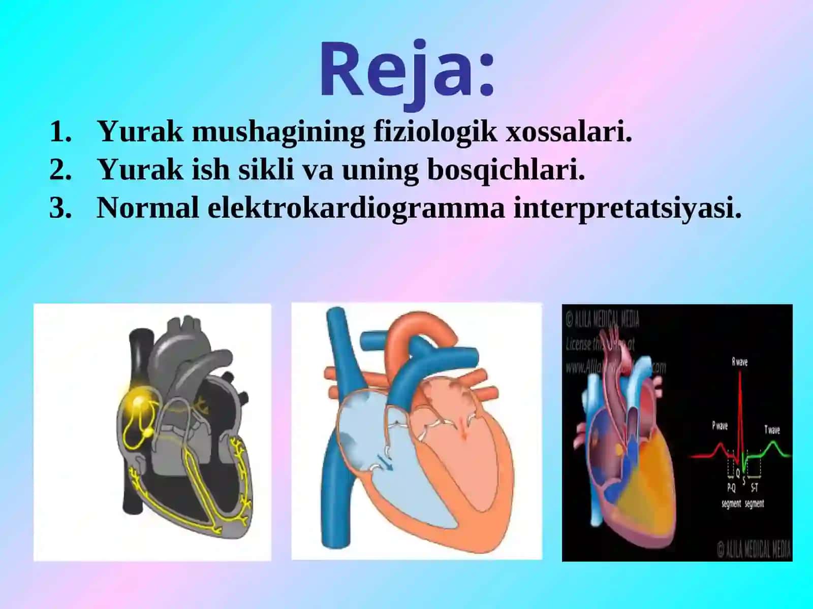 Yurakning gemodinamik vazifasi 2