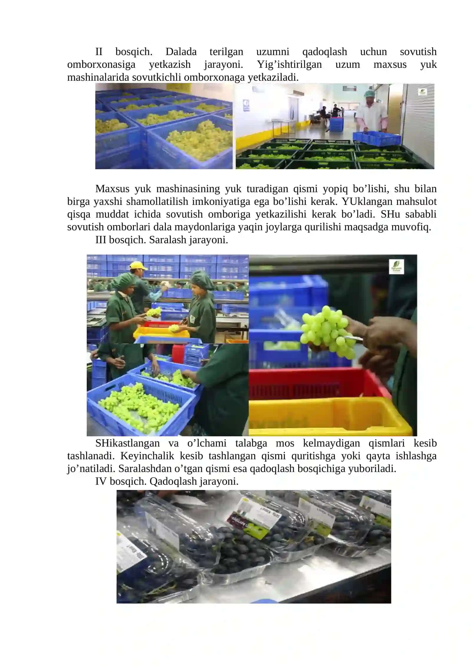 Sovuq zanjir tizimi 2