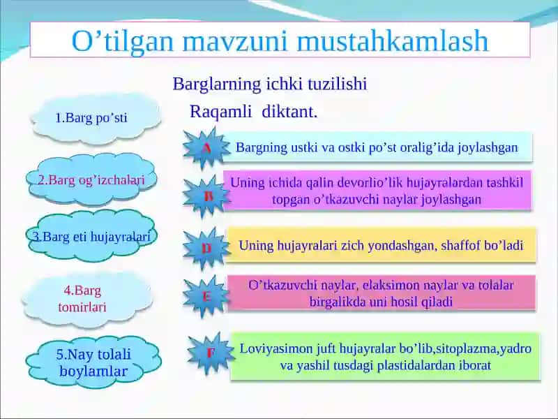 Shakli o’zgargan novdalar 2