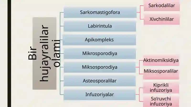 Parazitlarning kelib chiqish shajarasini tuzish 2