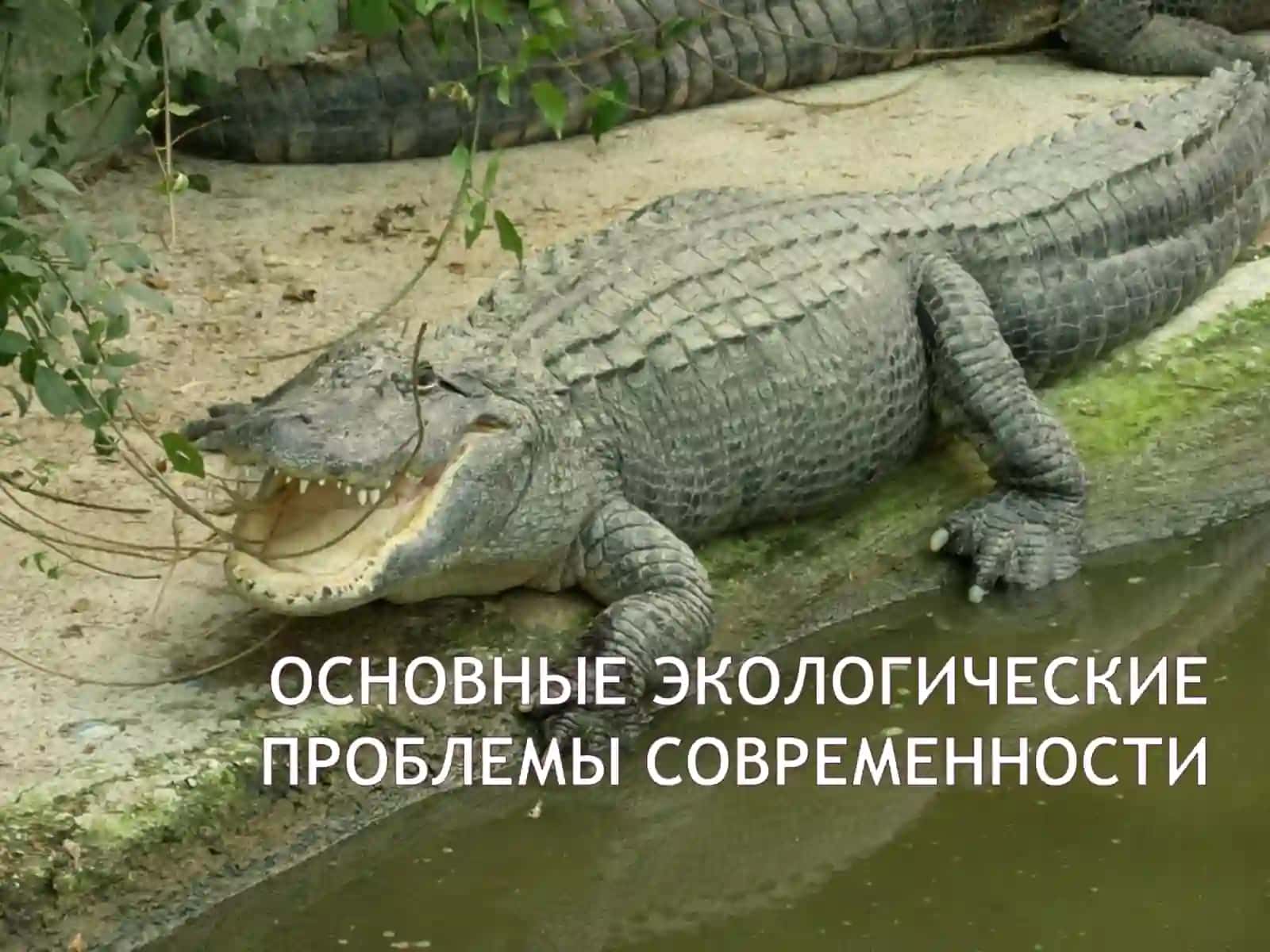 Загрязнение атмосферы 2
