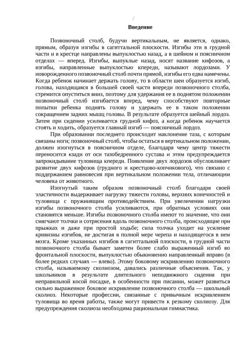 Строение позвоночного столба 2