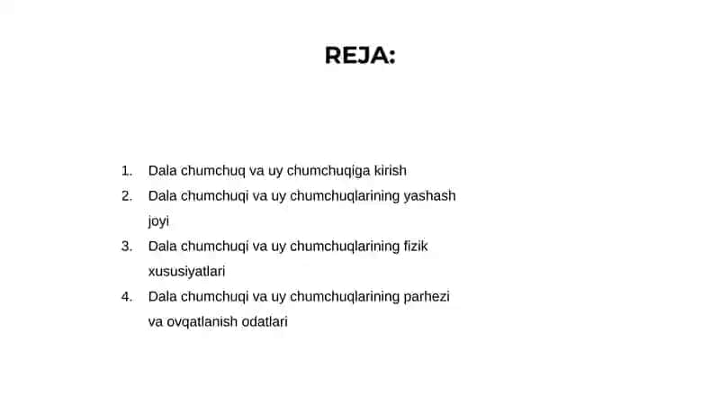 Dala chumchuq va uy chumchugi 2