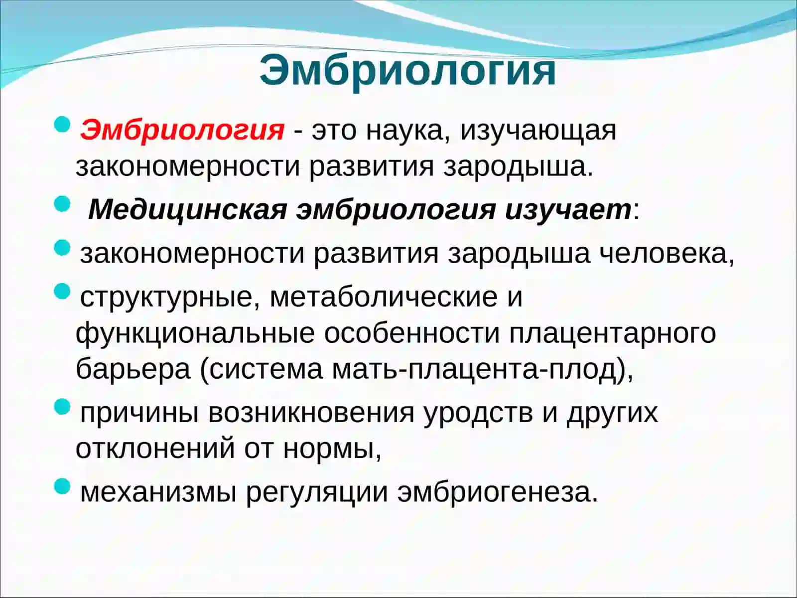 Эмбриология 2