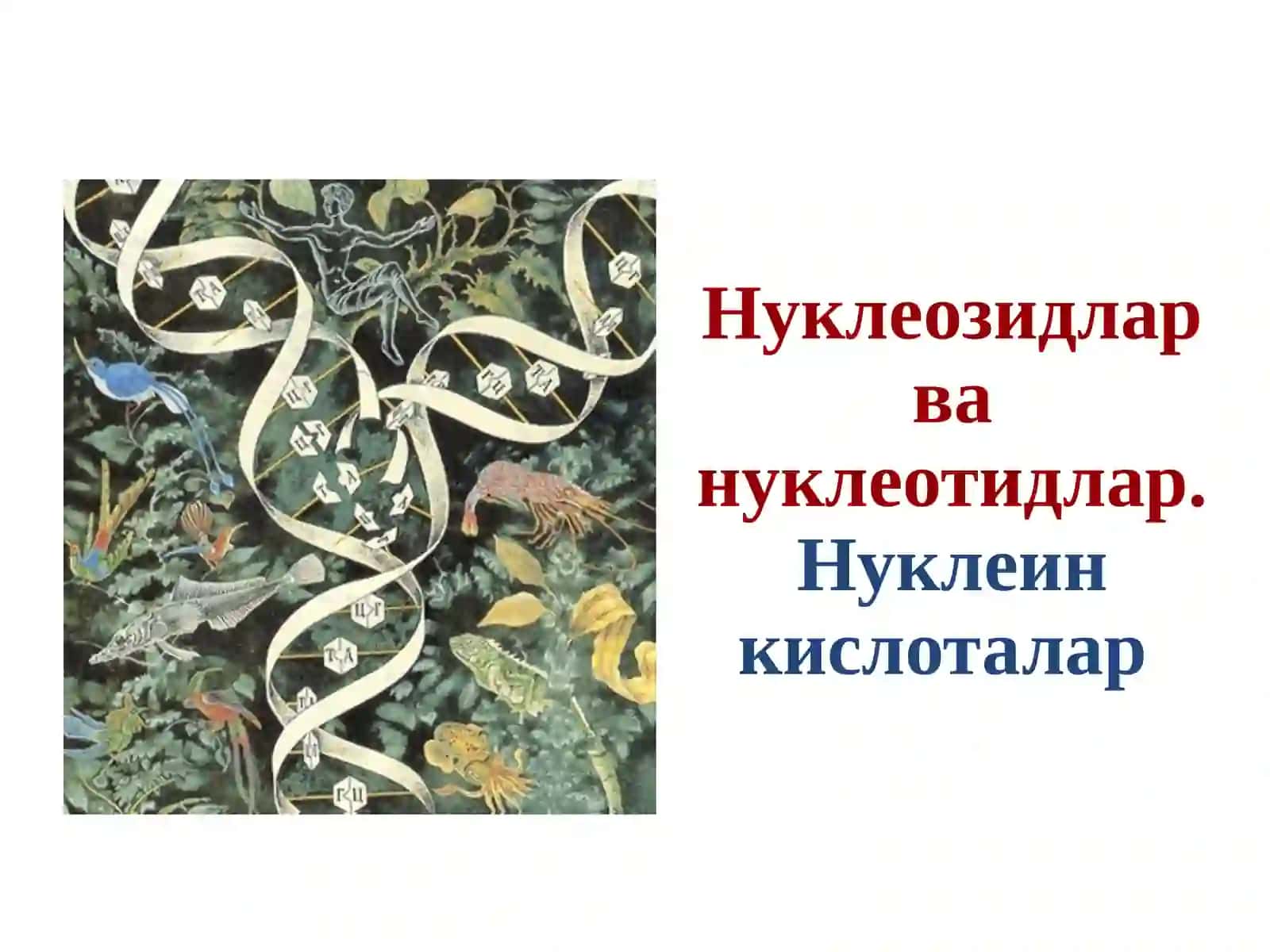 Нуклеинкислоталар 2
