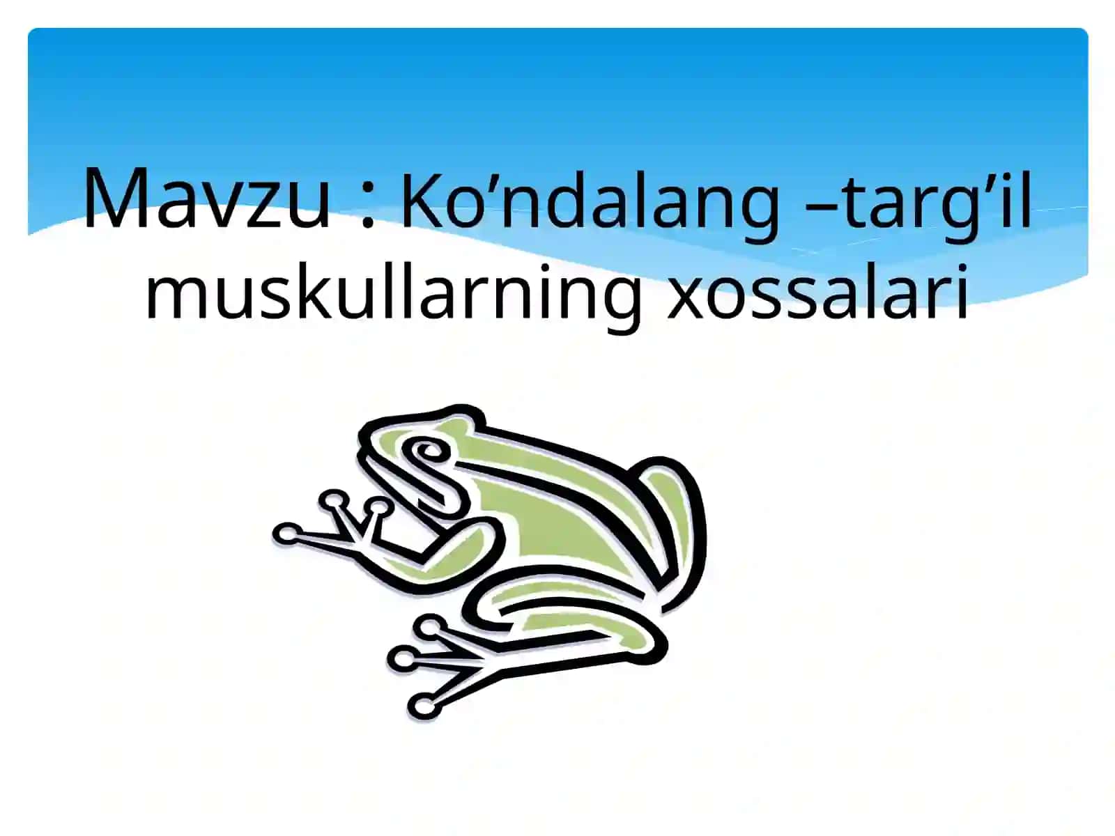 Ko’ndalang–targ’ilmuskullarningxossalari 2