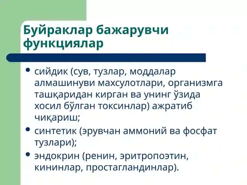 Буйраклар физиологияси 2