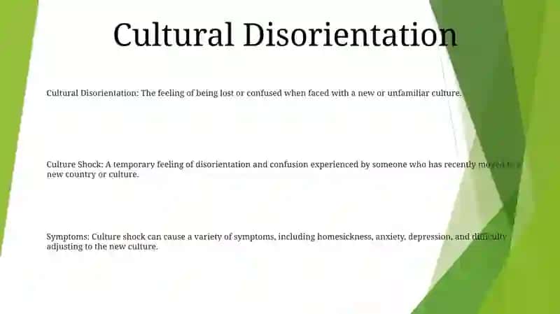 Culture Shock 2