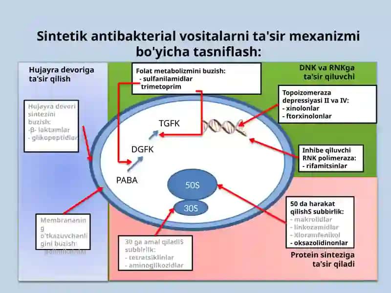 Sintetik antibakterial vositalar 2