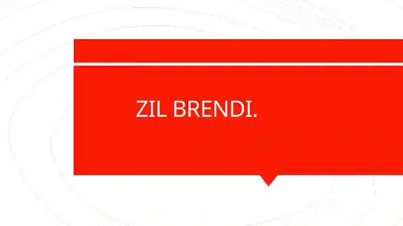 Zil brendining tarixi 2