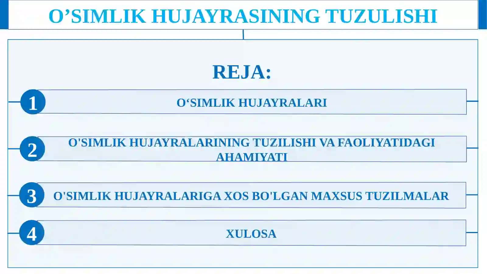O’simlik hujayrasining tuzulishi 2