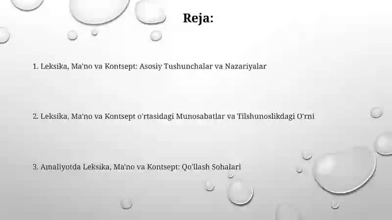 Leksik ma'no va tushuncha haqida qarashlar 2