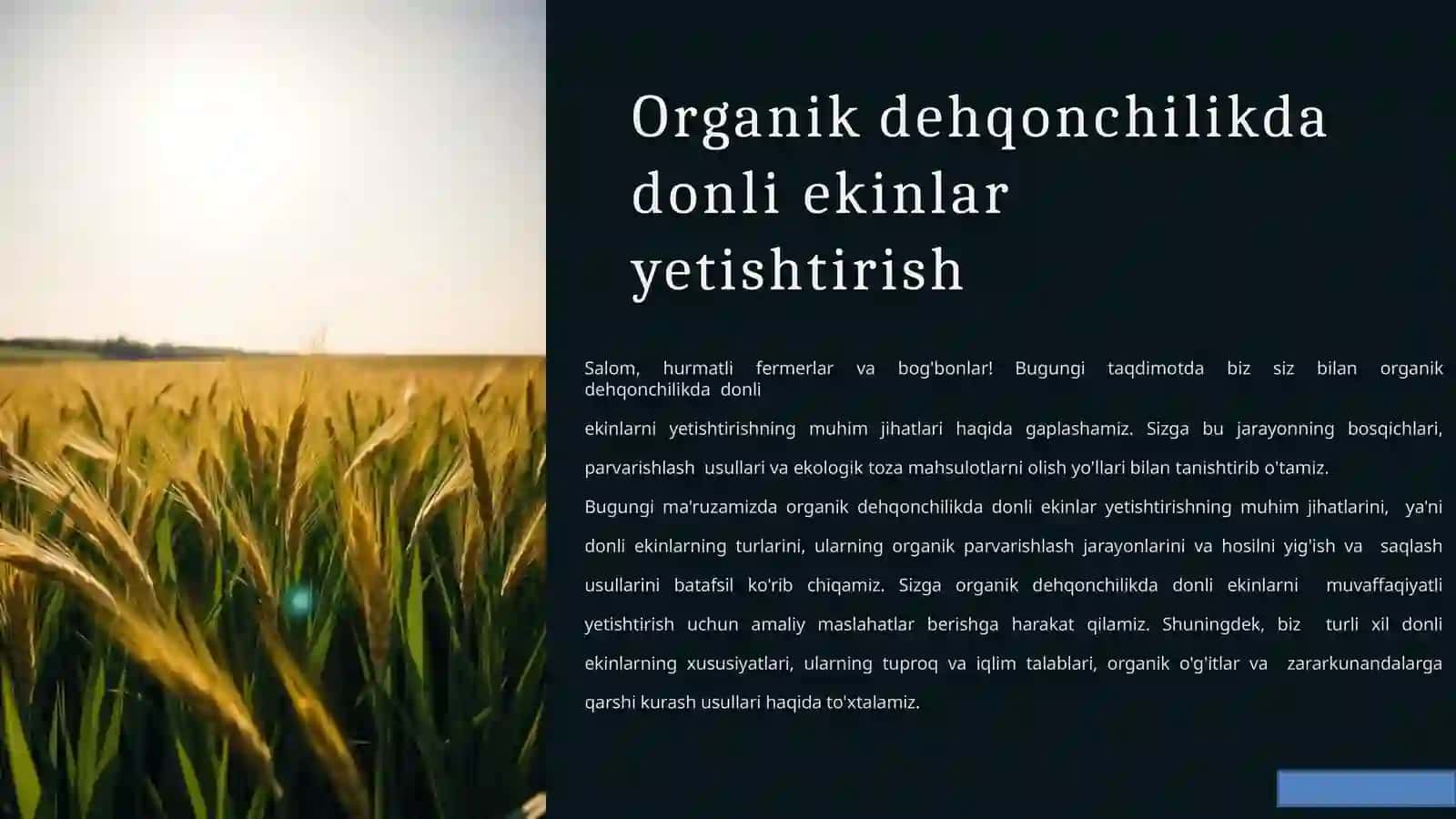 Organik dehqonchilikda  donli ekinlar  yetishtirish 2