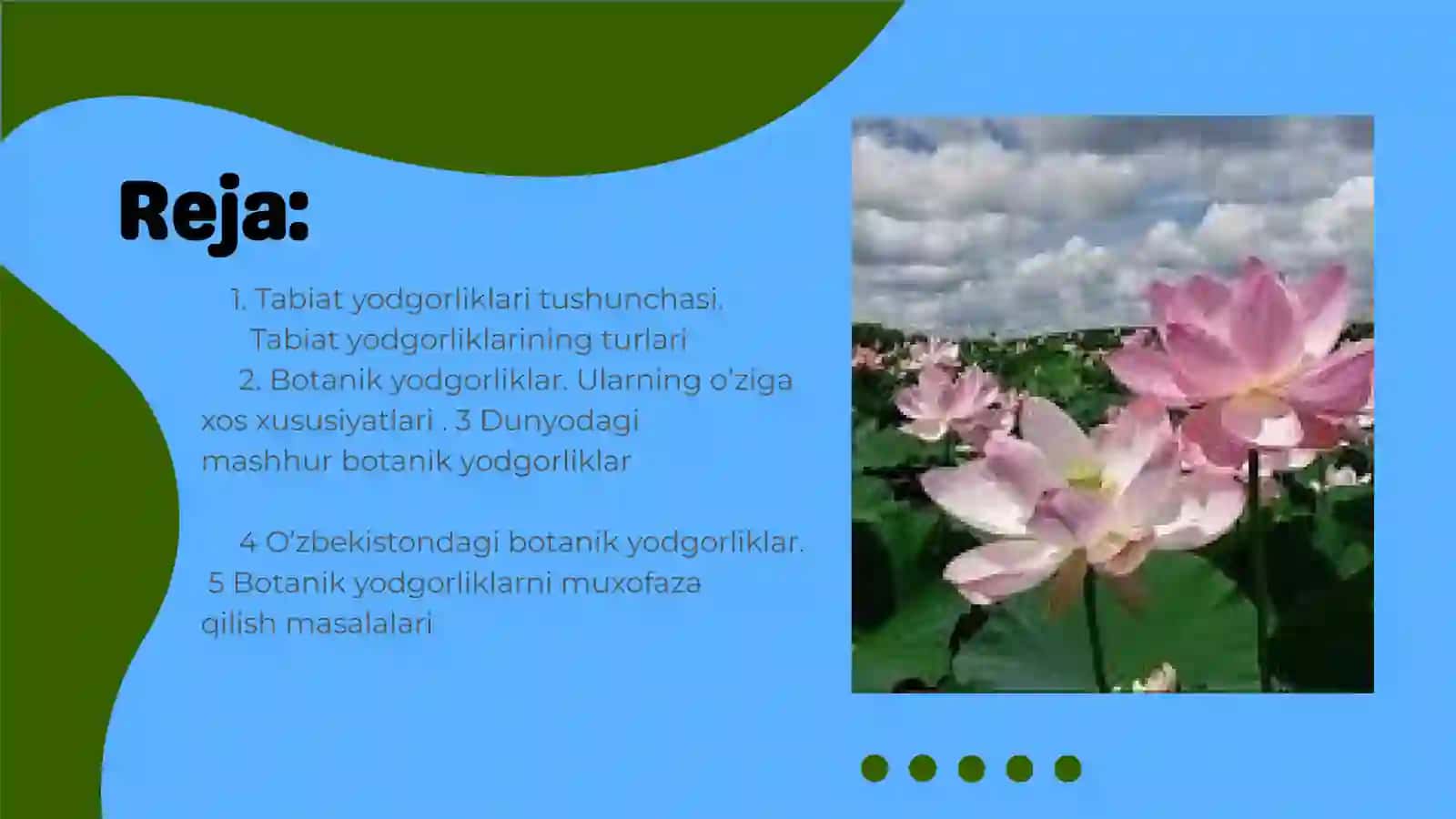 TABIAT YODGORLIKLARI. BOTANIK YODGORLIKLARl 2