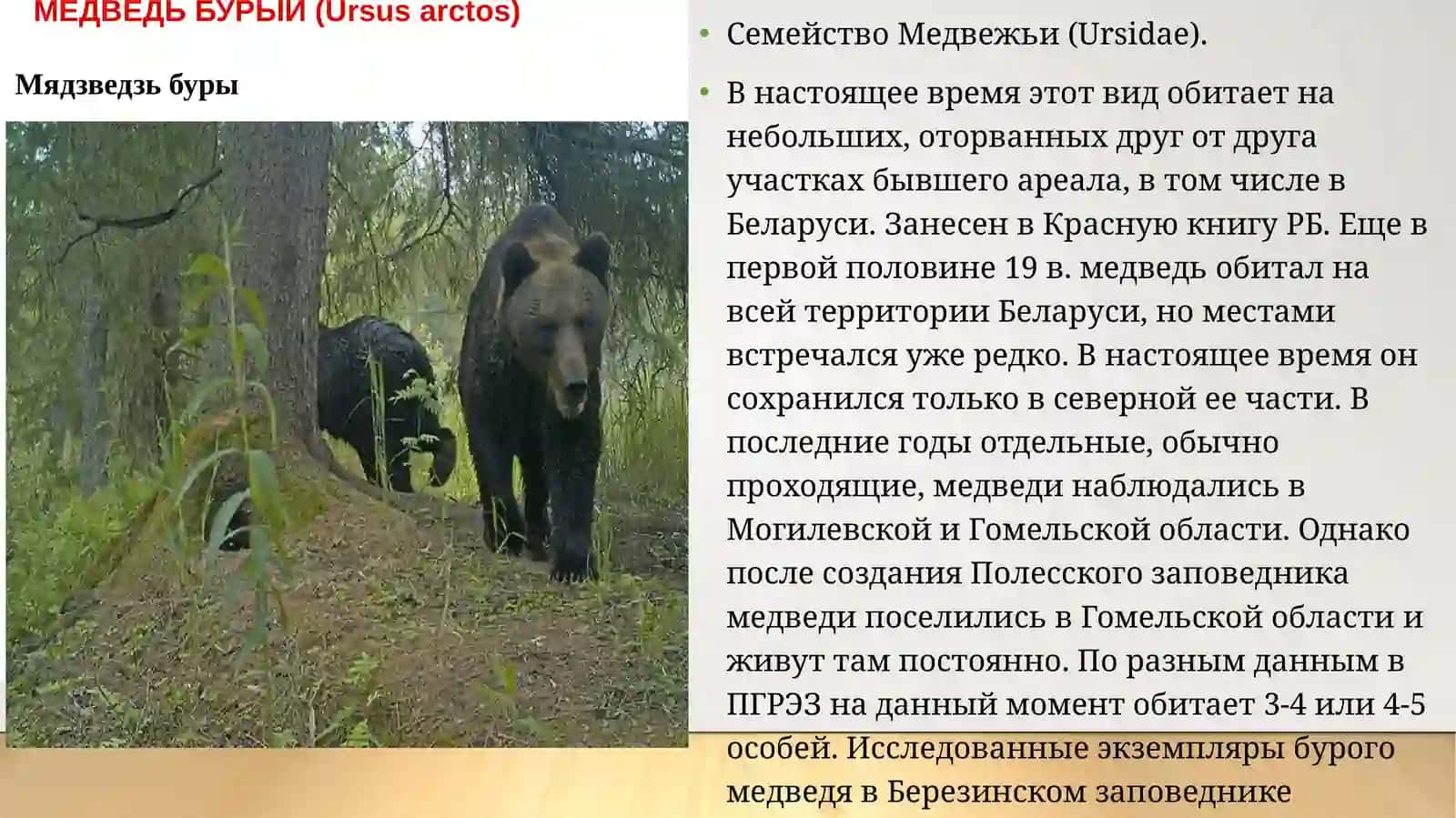 Красная книга 2