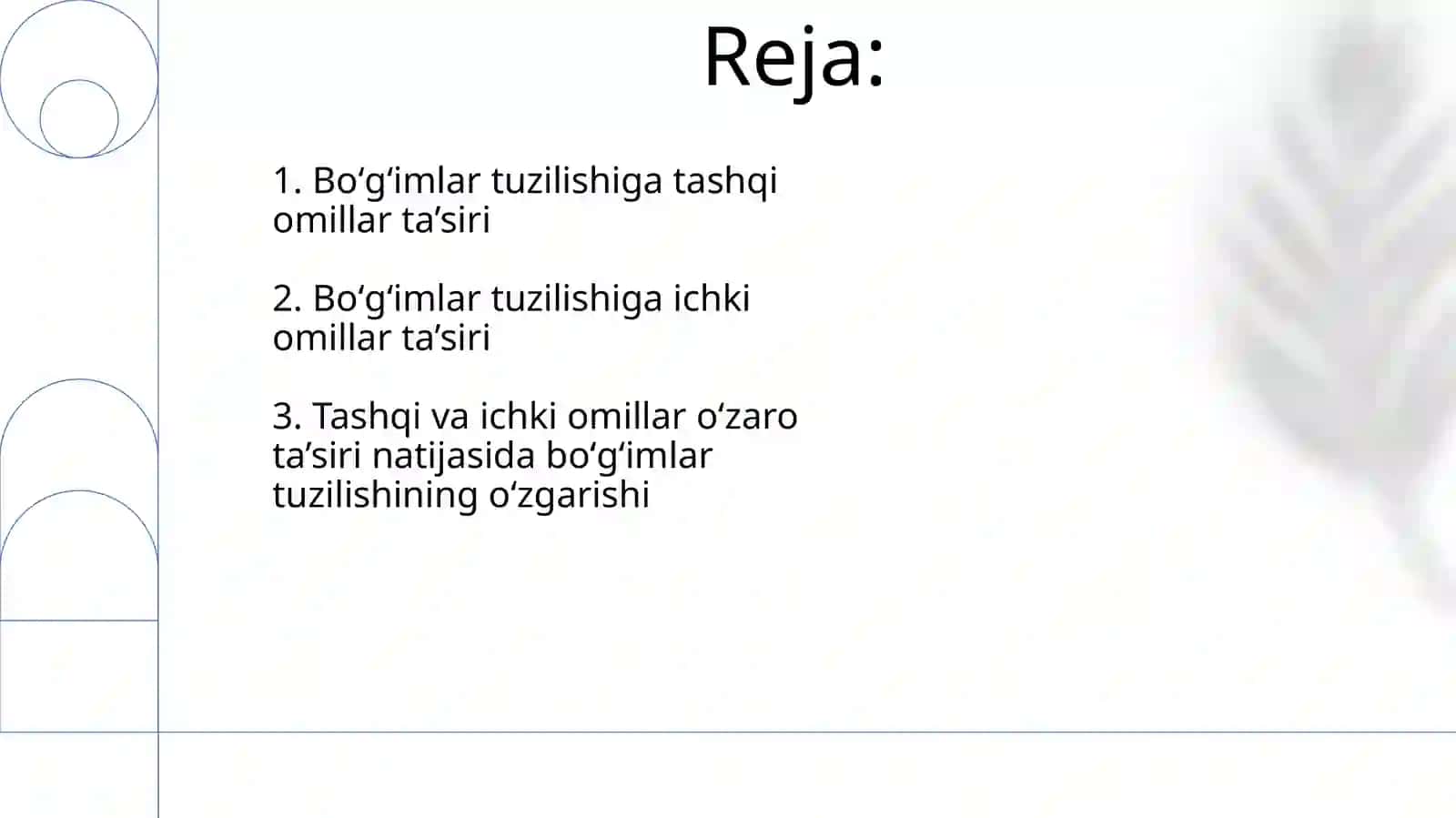 Suyak zichligi 2