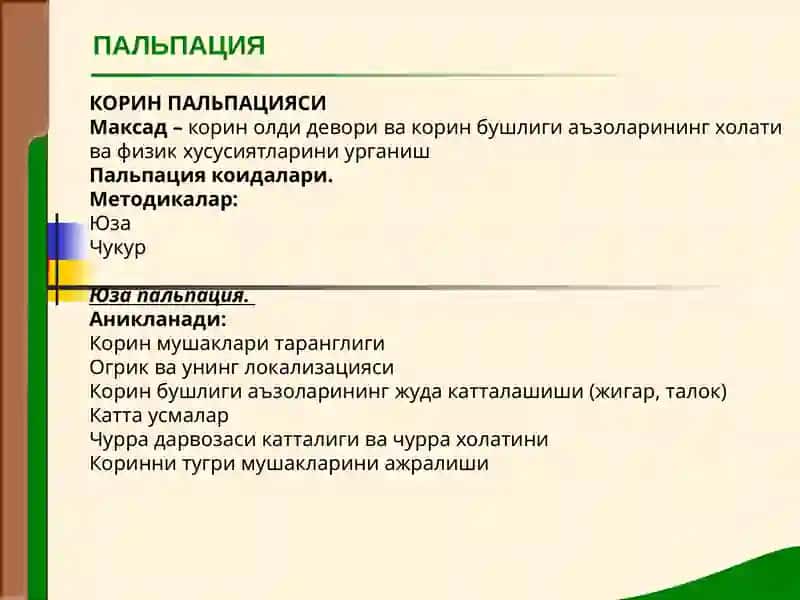 КОРИН ПАЛЬПАЦИЯСИ 2