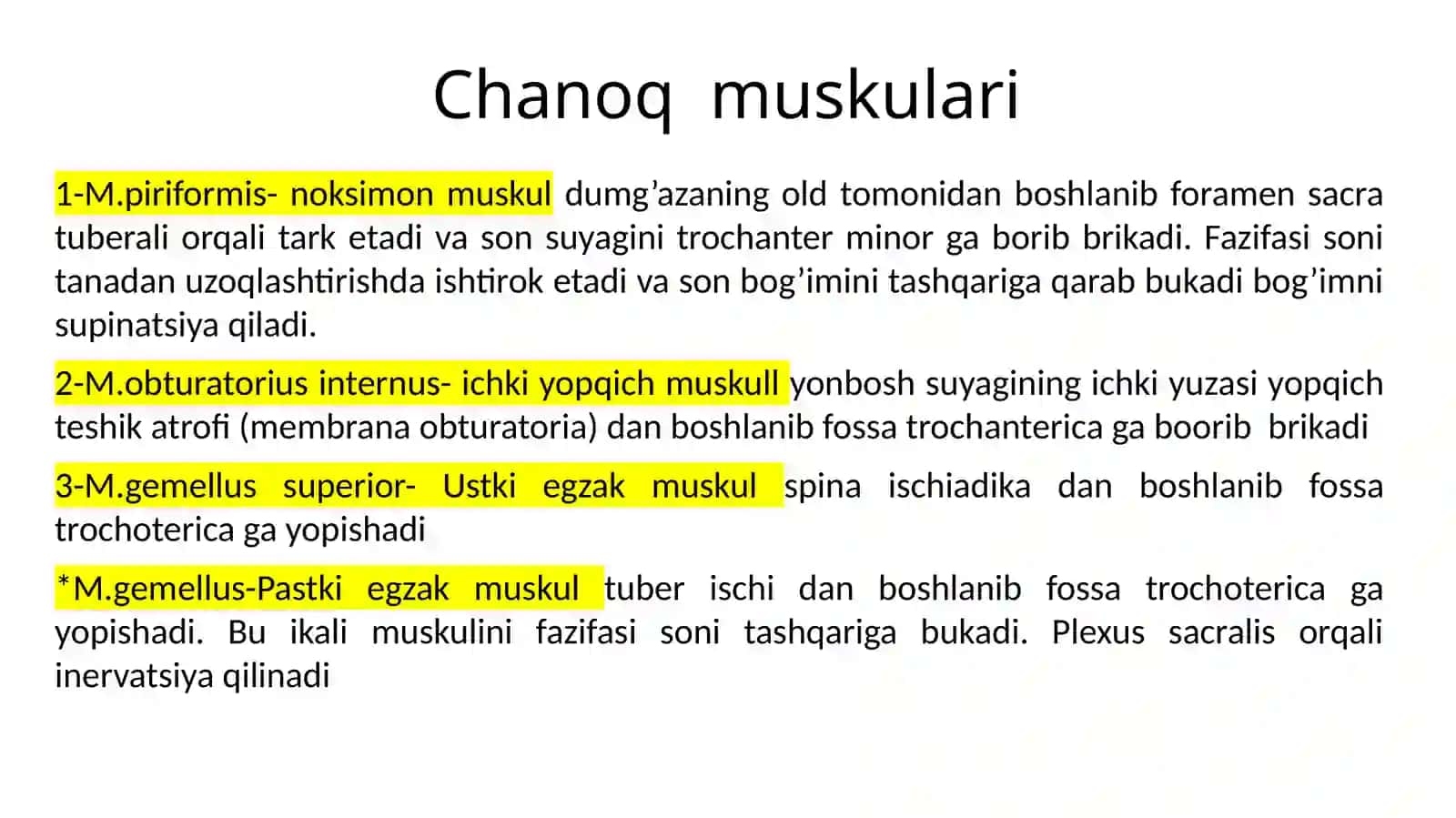 Chanoq muskulari 2