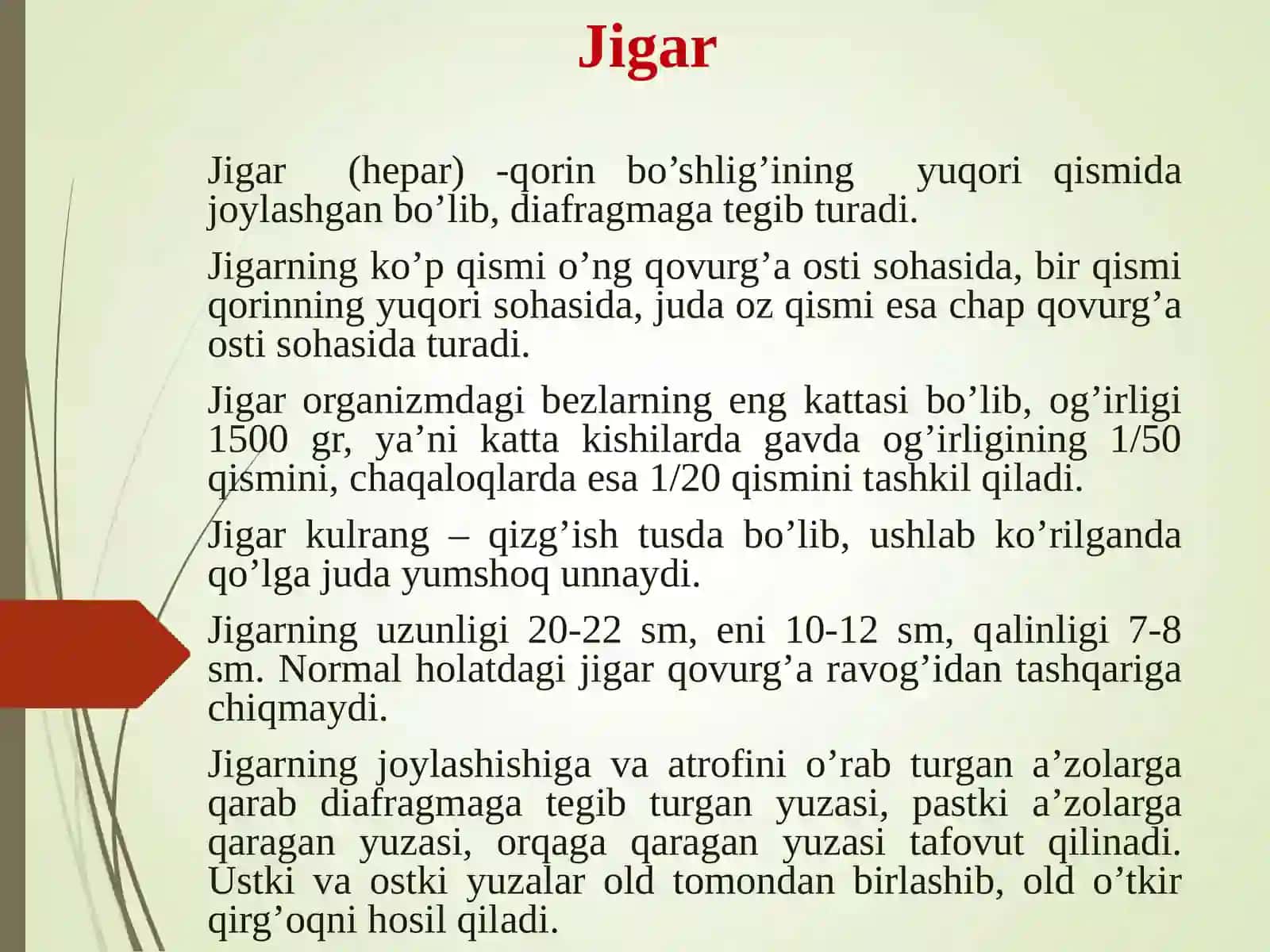 Jigar 2
