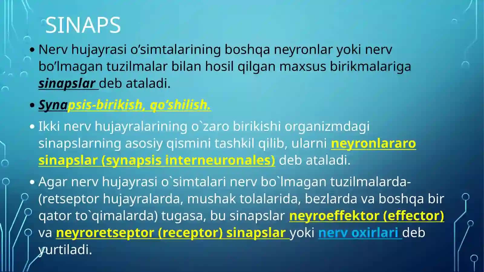 Sinapslar, nerv oxirlari 2