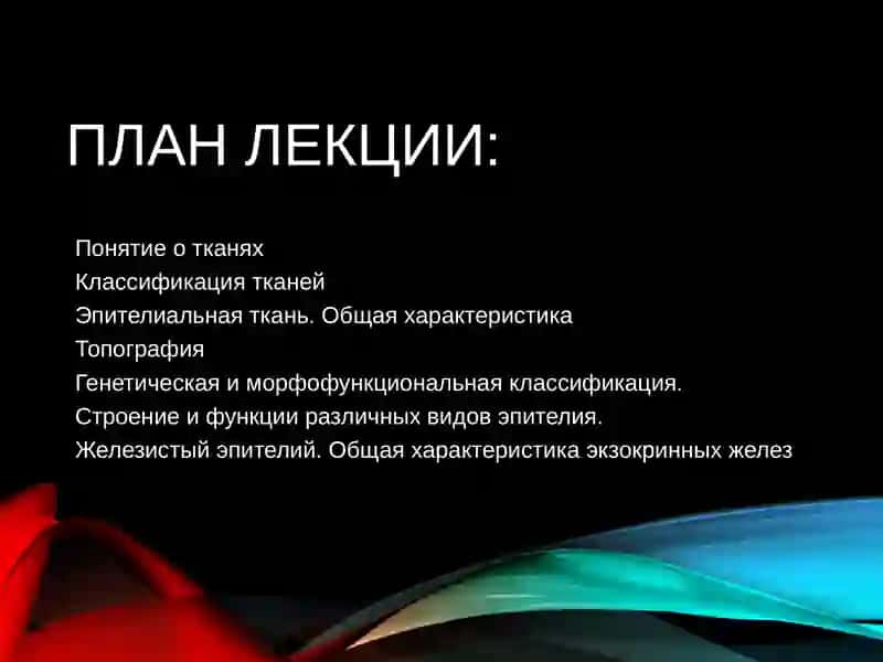УЧЕНИЕ О ТКАНЯХ, ЭПИТЕЛИАЛЬНЫЕ ТКАНИ 2