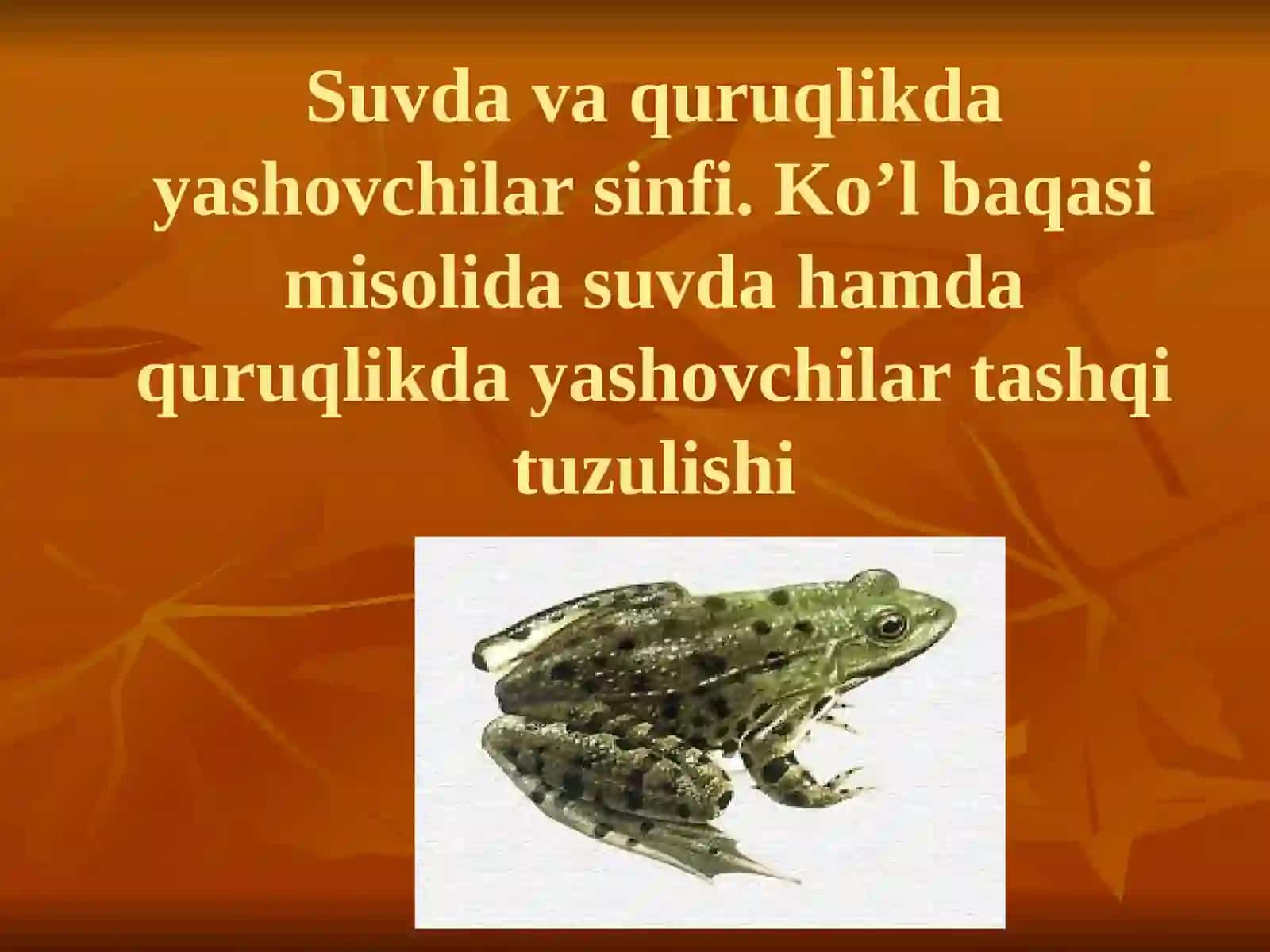 Suvda va quruqlikda yashovchilar sinfi 2