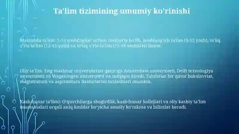 Niderlandiya Talim Tizimi 2