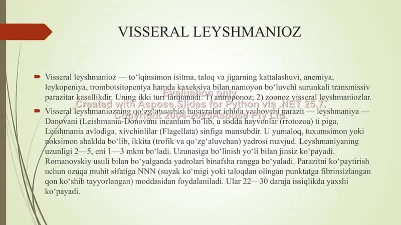 Visseral leyshmanioz 2
