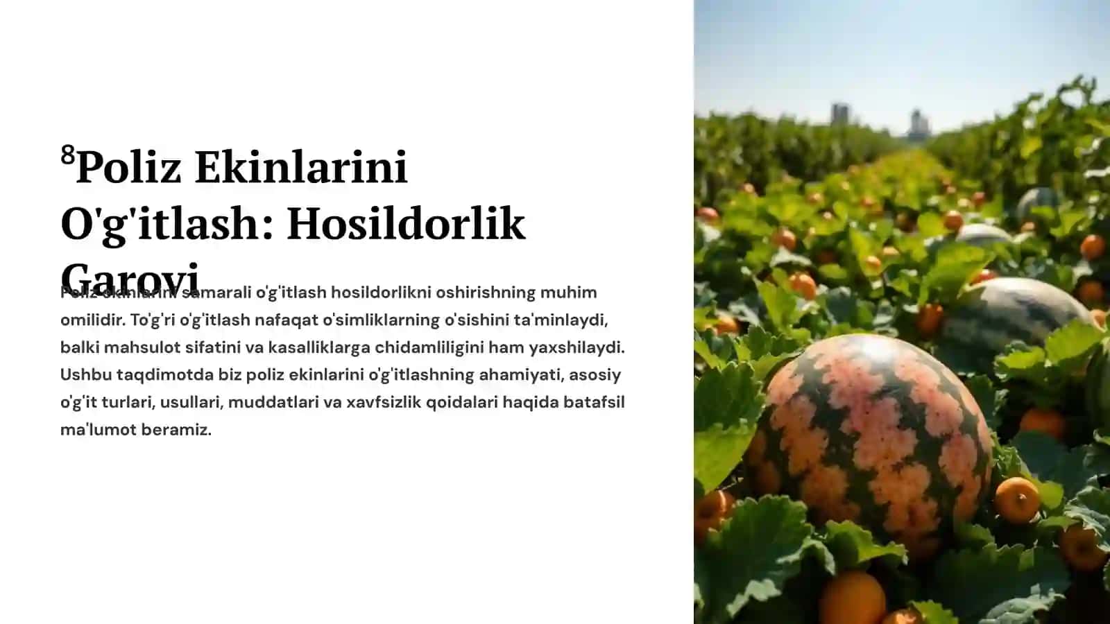 Poliz Ekinlarini O'g'itlash: Hosildorlik Garovi 2
