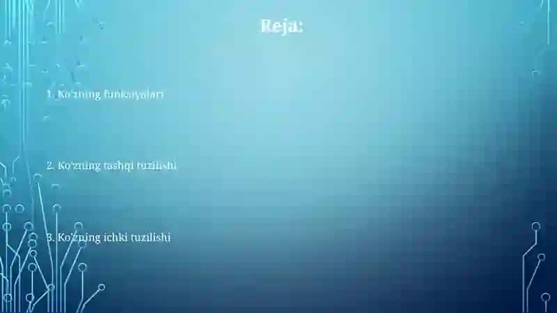 Ko'zning tuzilishi va faolyati 2