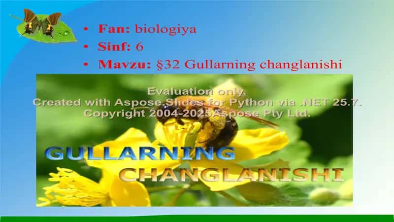 Gullarning Changlanishi 2
