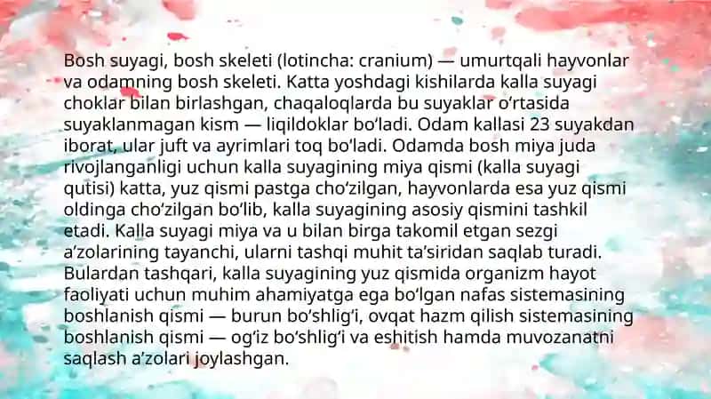 Kalla suyagi 2