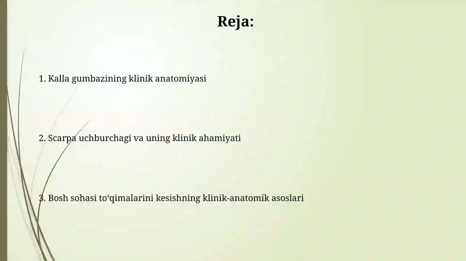 Kalla gumbazining klinik anatomiyasi 2