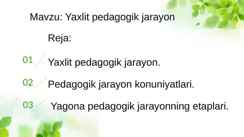 Yaxlit pedagogik jarayon 2